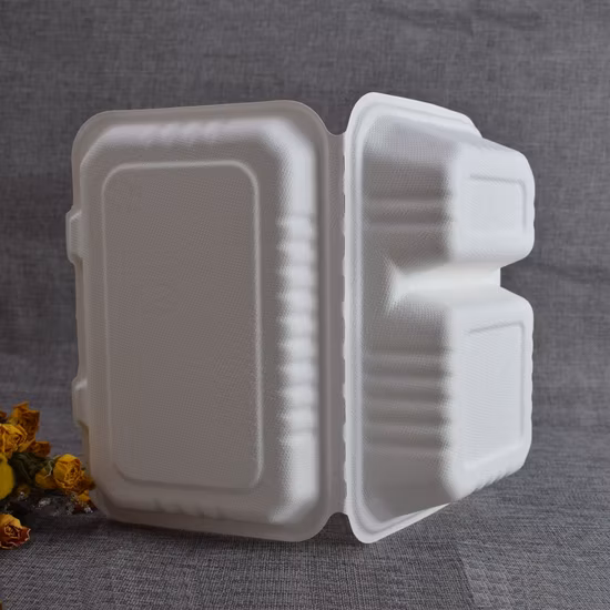 Conteneur alimentaire de couverts de bagasse de canne à sucre de plat jetable favorable à l'environnement